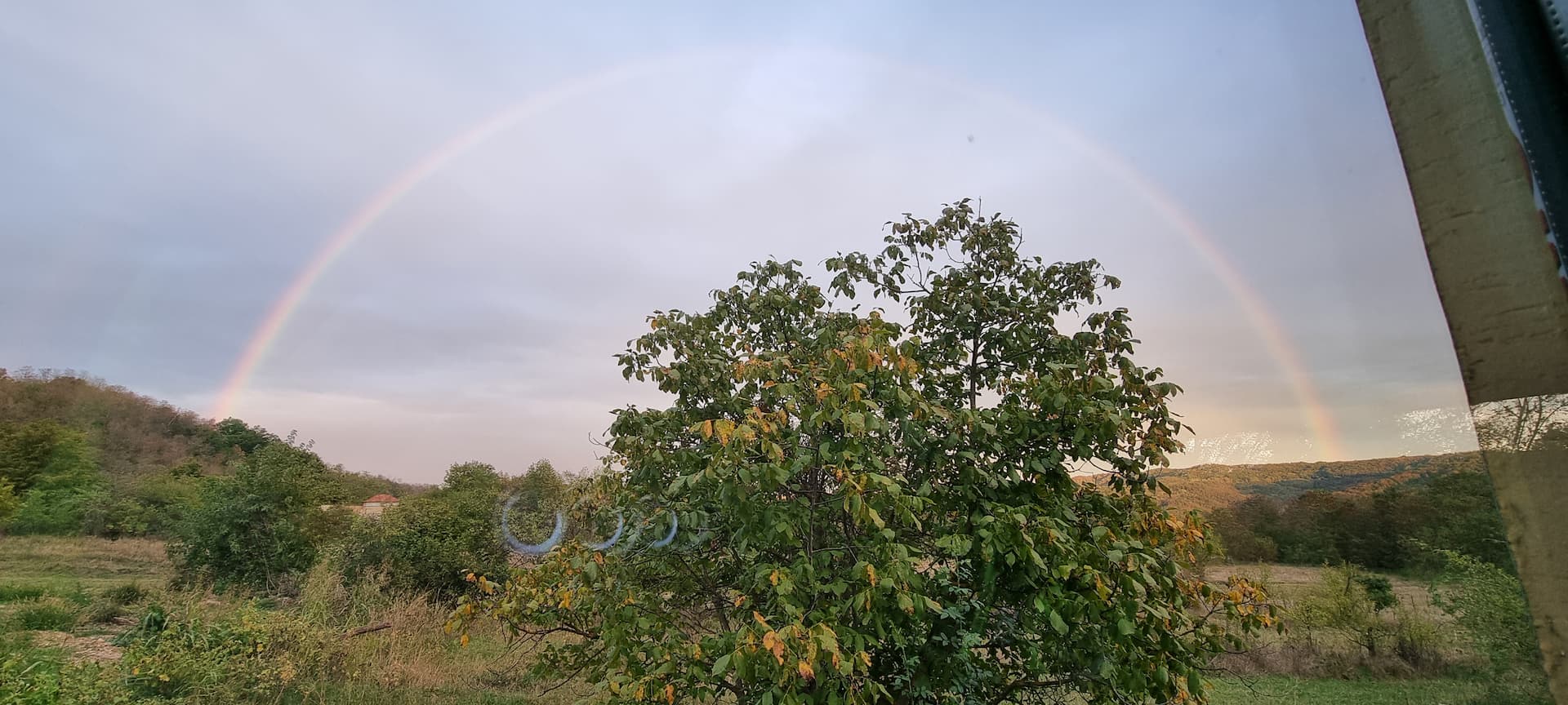 Tiny Alpha video documentation